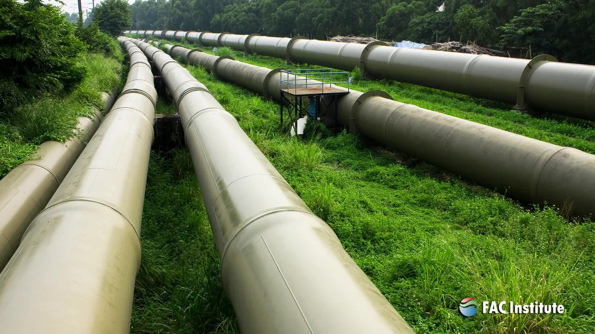 Pipeline Startup and Shutdown Simulation